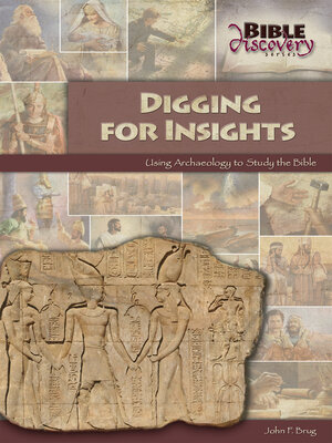 cover image of Digging For Insights
